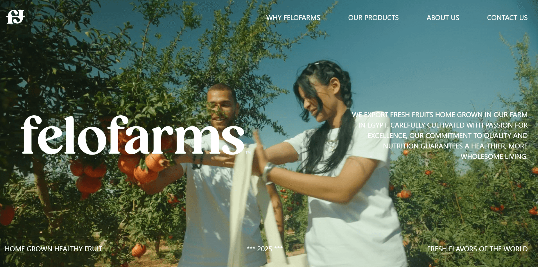 FeloFarms Website